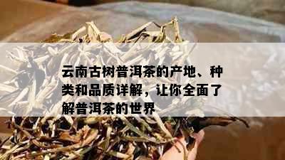 云南古树普洱茶的产地、种类和品质详解，让你全面了解普洱茶的世界