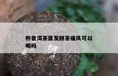 熟普洱茶属发酵茶痛风可以喝吗