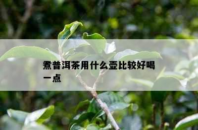 煮普洱茶用什么壶比较好喝一点