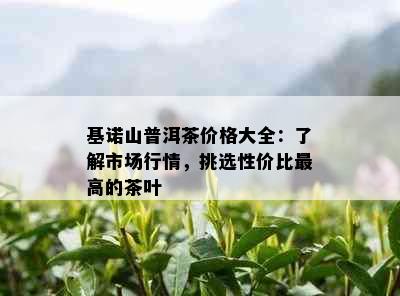 基诺山普洱茶价格大全：了解市场行情，挑选性价比更高的茶叶