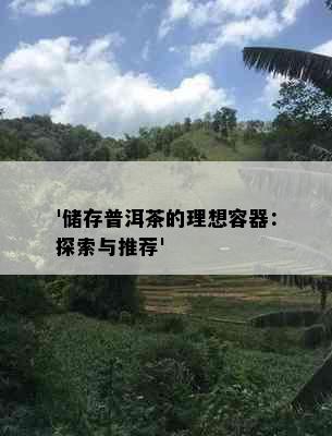 '储存普洱茶的理想容器：探索与推荐'