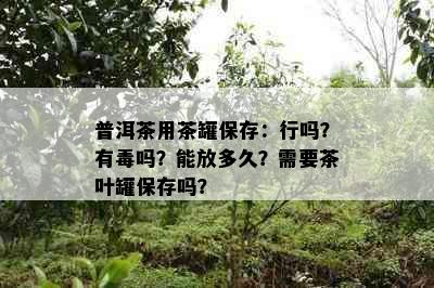 普洱茶用茶罐保存：行吗？有吗？能放多久？需要茶叶罐保存吗？