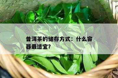 普洱茶的储存方式：什么容器最适宜？