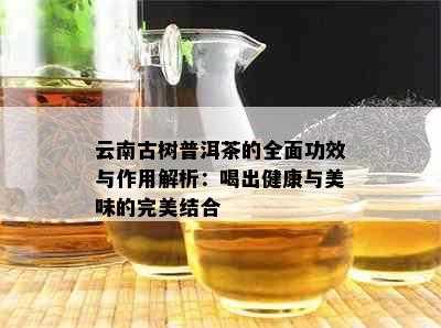 云南古树普洱茶的全面功效与作用解析：喝出健康与美味的完美结合