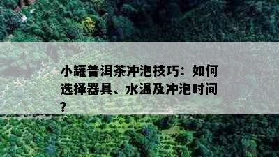 小罐普洱茶冲泡技巧：如何选择器具、水温及冲泡时间？