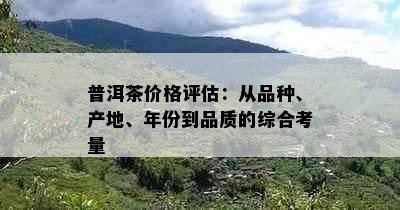 普洱茶价格评估：从品种、产地、年份到品质的综合考量