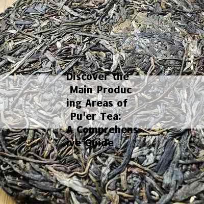 Discover the Main Producing Areas of Pu'er Tea: A Comprehensive Guide