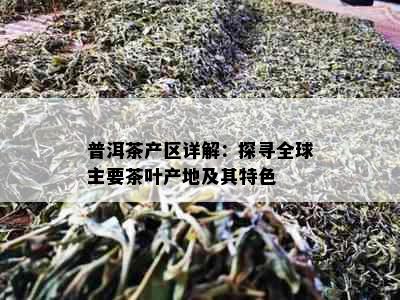 普洱茶产区详解：探寻全球主要茶叶产地及其特色