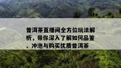 普洱茶直播间全方位玩法解析，带你深入了解如何品鉴、冲泡与购买优质普洱茶