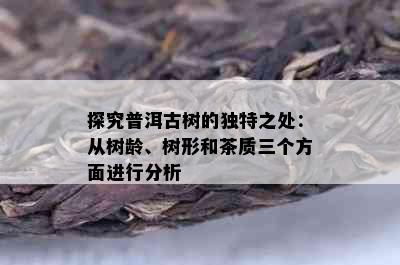 探究普洱古树的独特之处：从树龄、树形和茶质三个方面进行分析