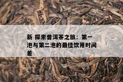 新 探索普洱茶之旅：之一泡与第二泡的更佳饮用时间差