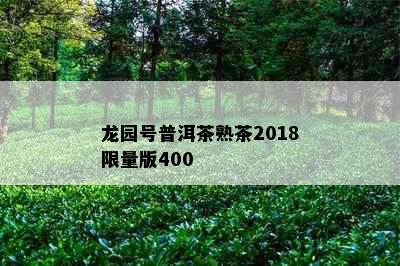 龙园号普洱茶熟茶2018     版400