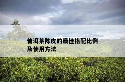 普洱茶陈皮的更佳搭配比例及使用方法