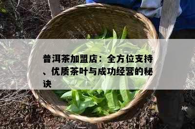 普洱茶加盟店：全方位支持、优质茶叶与成功经营的秘诀