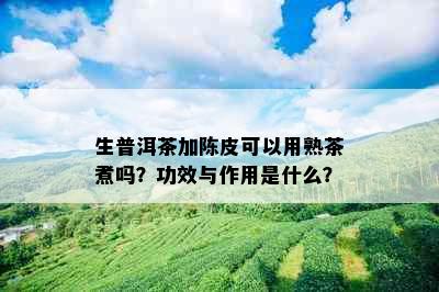 生普洱茶加陈皮可以用熟茶煮吗？功效与作用是什么？