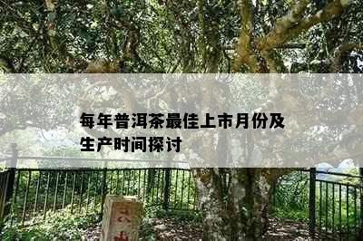 每年普洱茶更佳上市月份及生产时间探讨