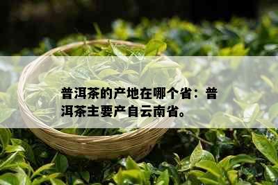 普洱茶的产地在哪个省：普洱茶主要产自云南省。