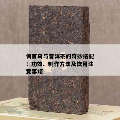 何首乌与普洱茶的奇妙搭配：功效、制作方法及饮用注意事项