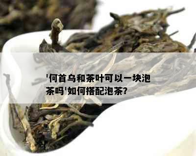 '何首乌和茶叶可以一块泡茶吗'如何搭配泡茶？