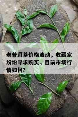 老普洱茶价格波动，收藏家纷纷寻求购买，目前市场行情如何？