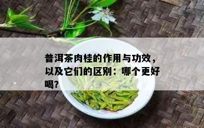 普洱茶肉桂的作用与功效，以及它们的区别：哪个更好喝？