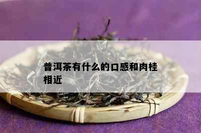 普洱茶有什么的口感和肉桂相近