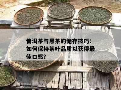 普洱茶与黑茶的储存技巧：如何保持茶叶品质以获得更佳口感？