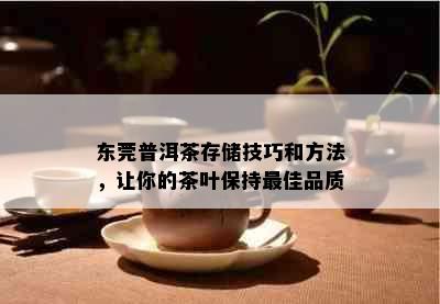 东莞普洱茶存储技巧和方法，让你的茶叶保持更佳品质