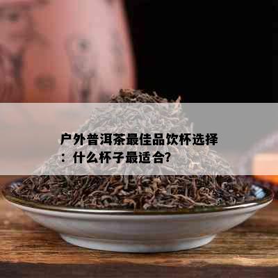 户外普洱茶更佳品饮杯选择：什么杯子最适合？