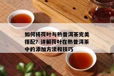 如何将荷叶与熟普洱茶完美搭配？详解荷叶在熟普洱茶中的添加方法和技巧