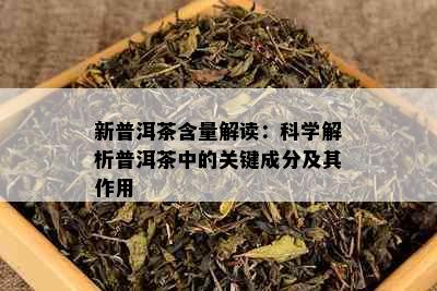 新普洱茶含量解读：科学解析普洱茶中的关键成分及其作用