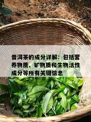 普洱茶的成分详解：包括营养物质、矿物质和生物活性成分等所有关键信息