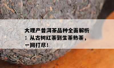 大理产普洱茶品种全面解析：从古树红茶到生茶熟茶，一网打尽！