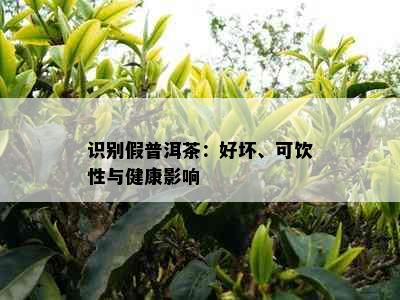 识别假普洱茶：好坏、可饮性与健康影响