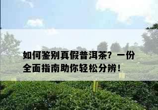 如何鉴别真假普洱茶？一份全面指南助你轻松分辨！