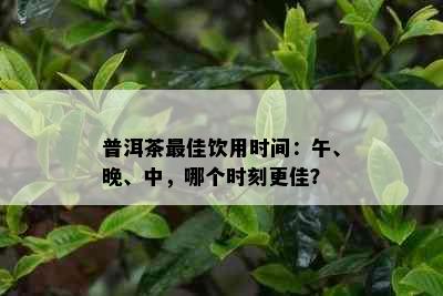 普洱茶更佳饮用时间：午、晚、中，哪个时刻更佳？