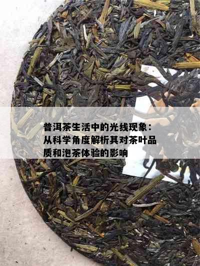 普洱茶生活中的光线现象：从科学角度解析其对茶叶品质和泡茶体验的影响