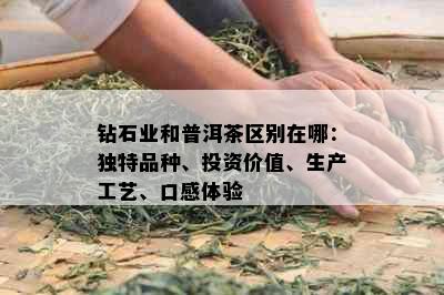 钻石业和普洱茶区别在哪：独特品种、投资价值、生产工艺、口感体验