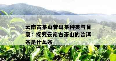 云南古茶山普洱茶种类与目录：探究云南古茶山的普洱茶是什么茶