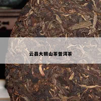 云县大朝山茶普洱茶