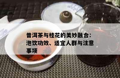 普洱茶与桂花的美妙融合：泡饮功效、适宜人群与注意事项