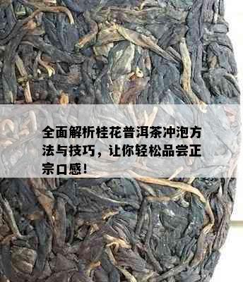 全面解析桂花普洱茶冲泡方法与技巧，让你轻松品尝正宗口感！