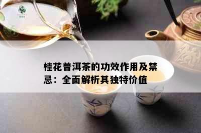 桂花普洱茶的功效作用及禁忌：全面解析其独特价值