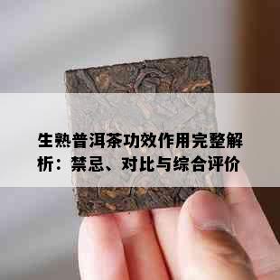 生熟普洱茶功效作用完整解析：禁忌、对比与综合评价