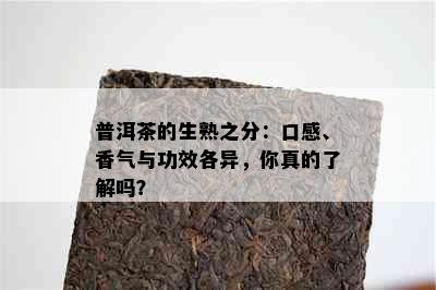 普洱茶的生熟之分：口感、香气与功效各异，你真的了解吗？