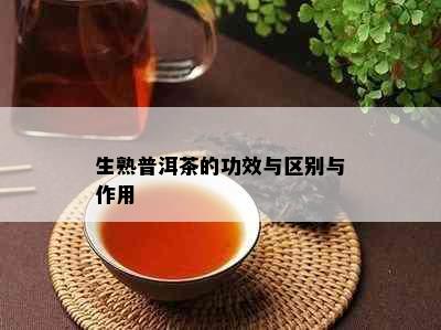 生熟普洱茶的功效与区别与作用