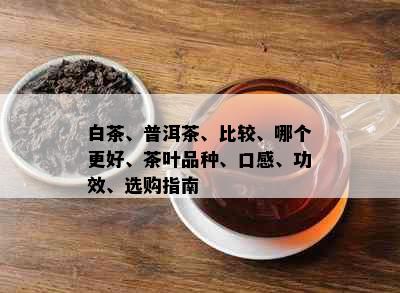 白茶、普洱茶、比较、哪个更好、茶叶品种、口感、功效、选购指南