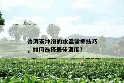 普洱茶冲泡的水温掌握技巧，如何选择更佳温度？