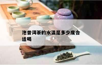 泡普洱茶的水温是多少度合适喝