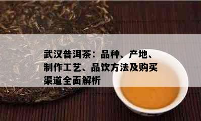 武汉普洱茶：品种、产地、制作工艺、品饮方法及购买渠道全面解析